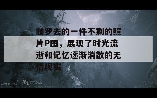 伽罗去的一件不剩的照片P图，展现了时光流逝和记忆逐渐消散的无情现实