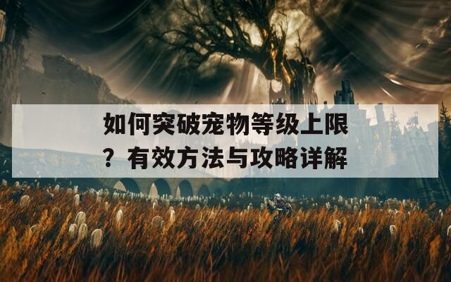 如何突破宠物等级上限？有效方法与攻略详解