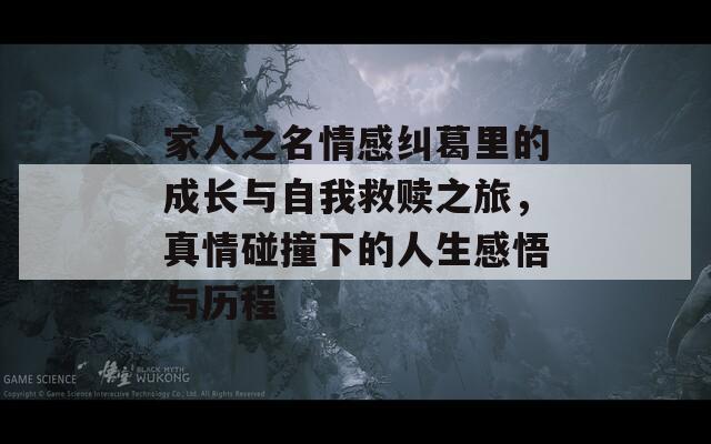 家人之名情感纠葛里的成长与自我救赎之旅，真情碰撞下的人生感悟与历程