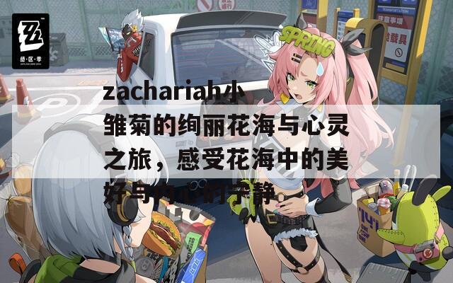 zachariah小雏菊的绚丽花海与心灵之旅，感受花海中的美好与内心的宁静