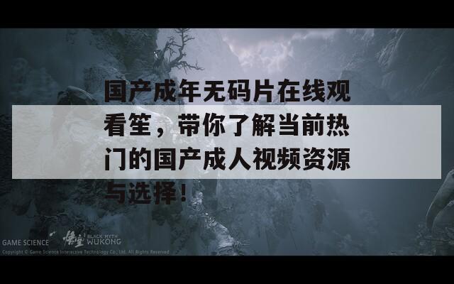 国产成年无码片在线观看笙，带你了解当前热门的国产成人视频资源与选择！