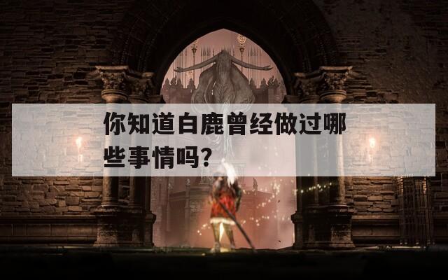 你知道白鹿曾经做过哪些事情吗？