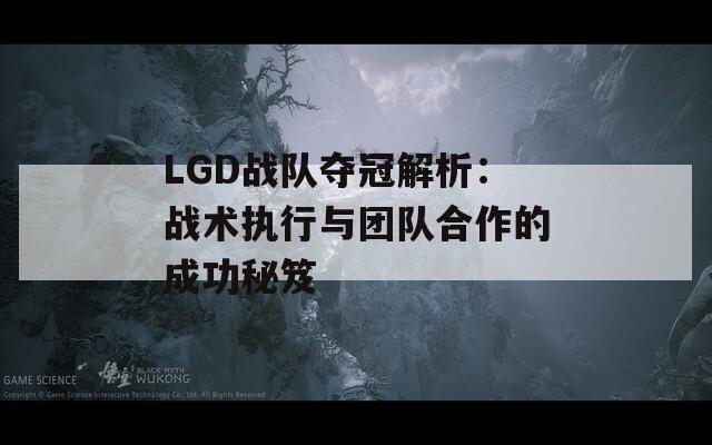 LGD战队夺冠解析：战术执行与团队合作的成功秘笈