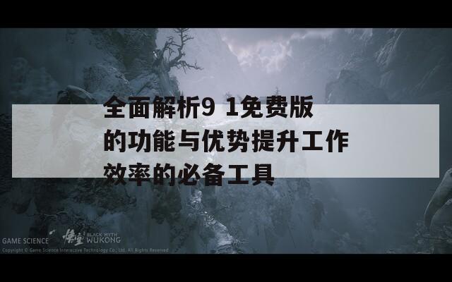 全面解析9 1免费版的功能与优势提升工作效率的必备工具