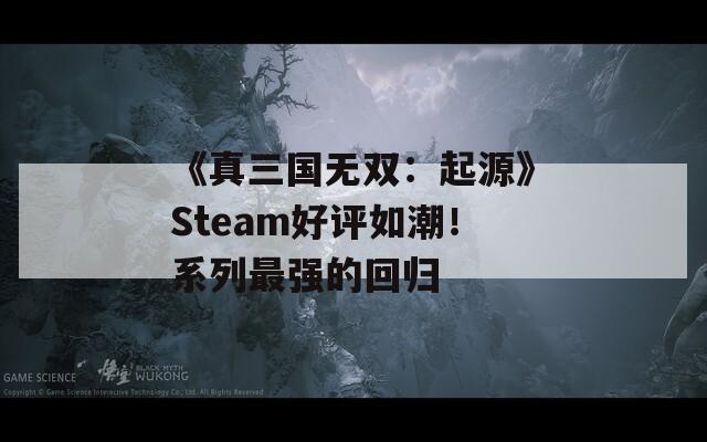 《真三国无双：起源》Steam好评如潮！系列最强的回归