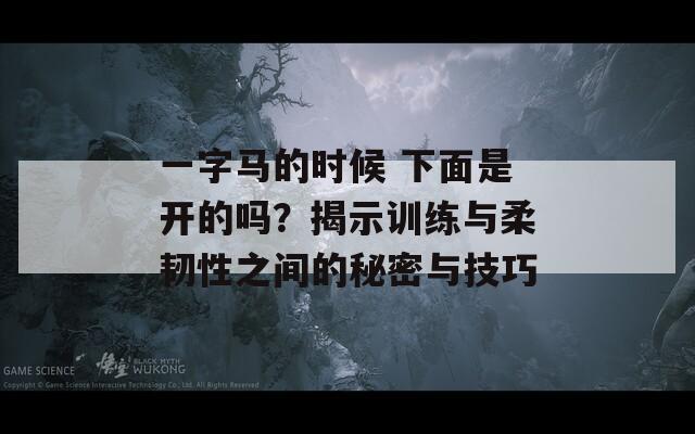 一字马的时候 下面是开的吗？揭示训练与柔韧性之间的秘密与技巧