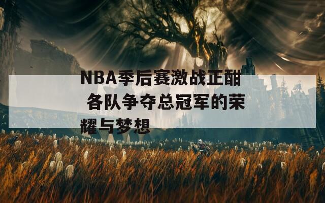 NBA季后赛激战正酣 各队争夺总冠军的荣耀与梦想