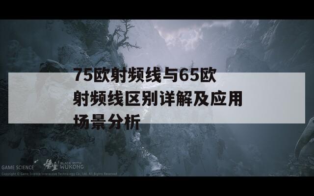 75欧射频线与65欧射频线区别详解及应用场景分析