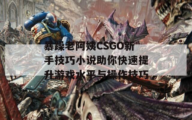 暴躁老阿姨CSGO新手技巧小说助你快速提升游戏水平与操作技巧