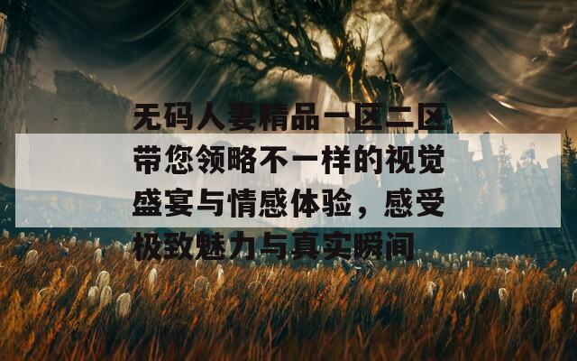 无码人妻精品一区二区带您领略不一样的视觉盛宴与情感体验，感受极致魅力与真实瞬间