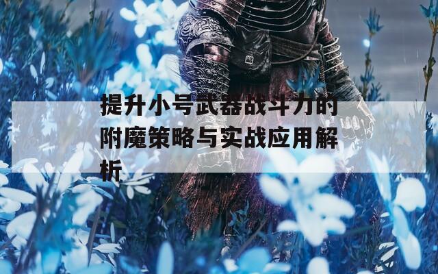 提升小号武器战斗力的附魔策略与实战应用解析