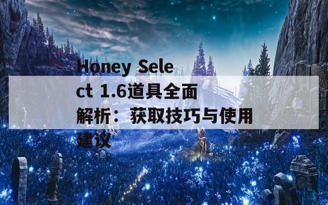 Honey Select 1.6道具全面解析：获取技巧与使用建议