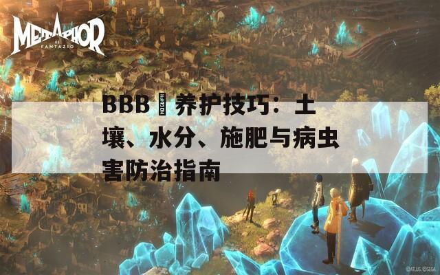 BBB槡养护技巧：土壤、水分、施肥与病虫害防治指南