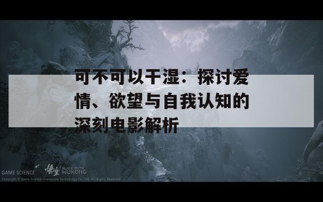 可不可以干湿：探讨爱情、欲望与自我认知的深刻电影解析