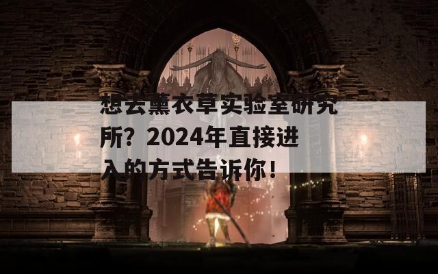 想去薰衣草实验室研究所？2024年直接进入的方式告诉你！