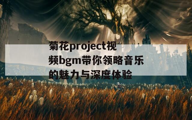 菊花project视频bgm带你领略音乐的魅力与深度体验